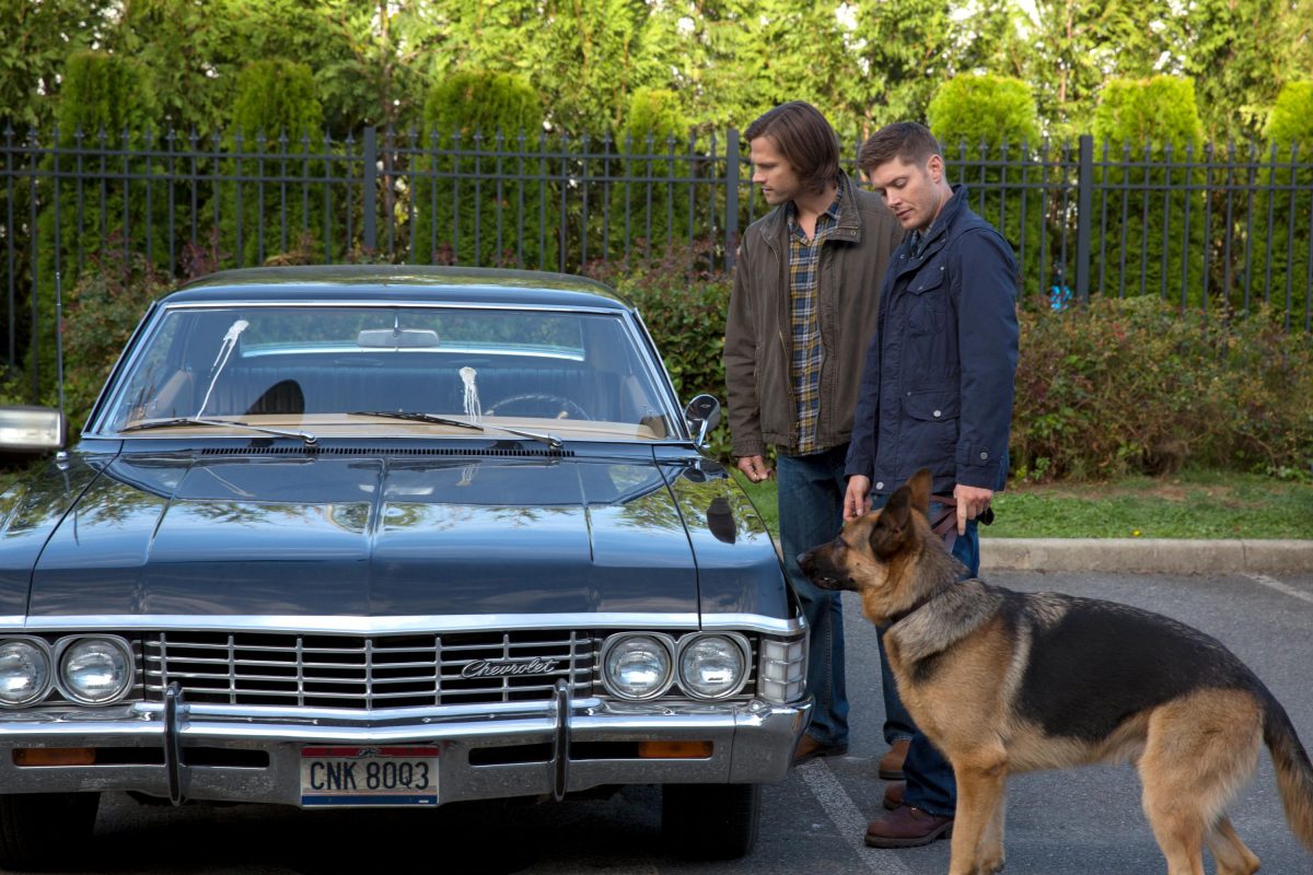 09x05 | Dog Dean Afternoon